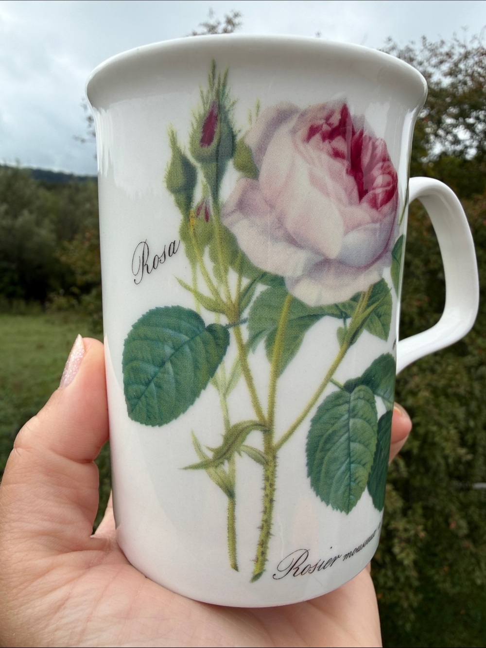 Roy Kirkham Redouté Roses Mug - Picture 7 of 9